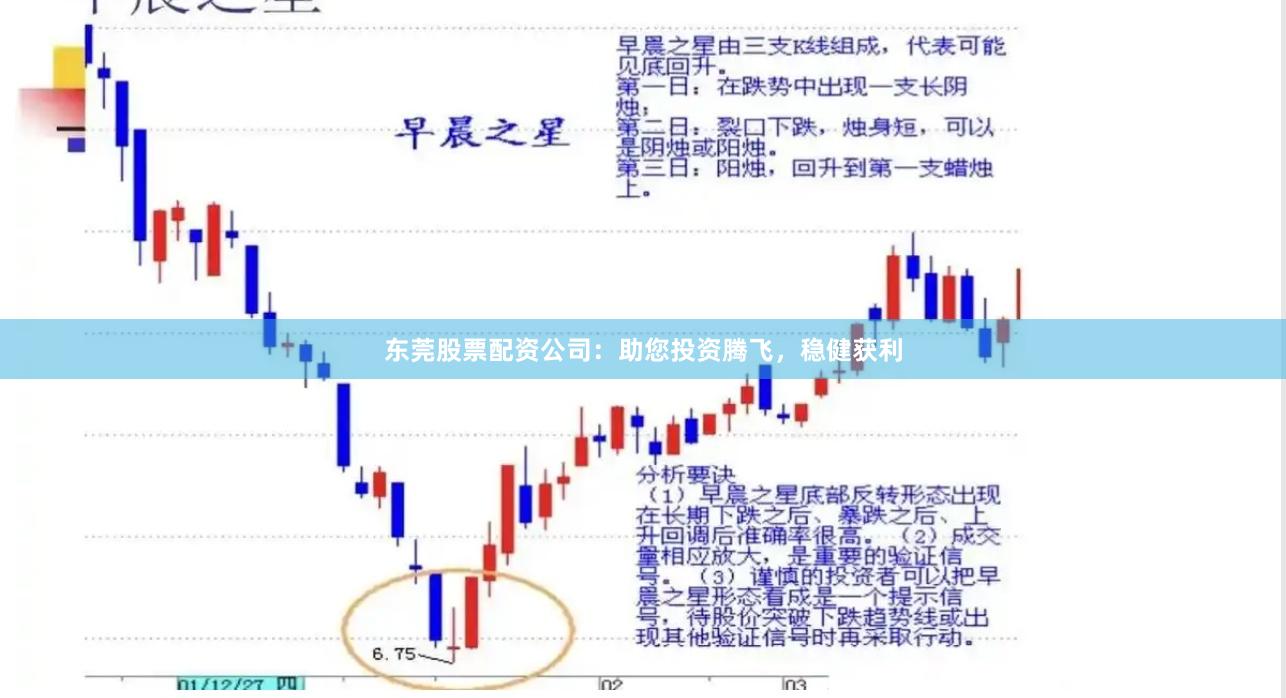 东莞股票配资公司：助您投资腾飞，稳健获利